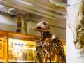 Veterinärmedizinische Universität Wien
