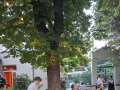 16. Sommerfest des Club Tirol